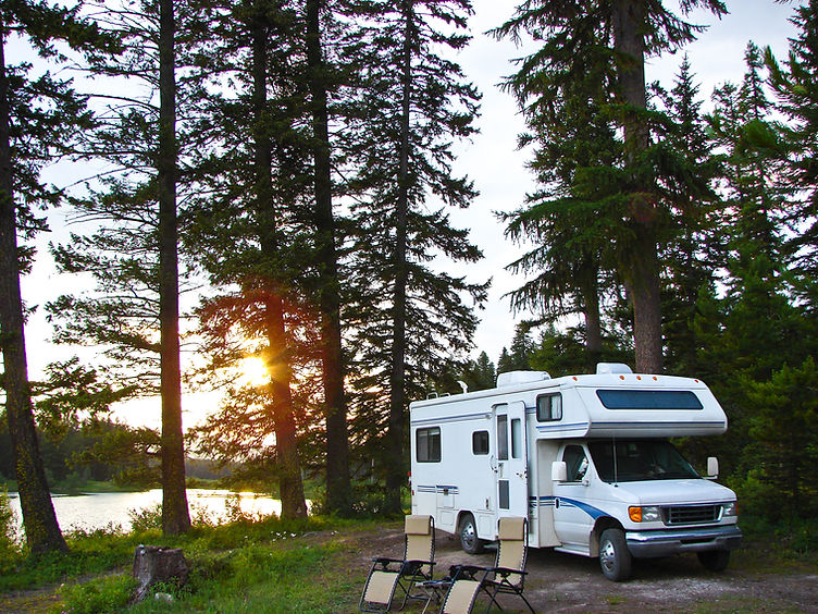 RV In Forest