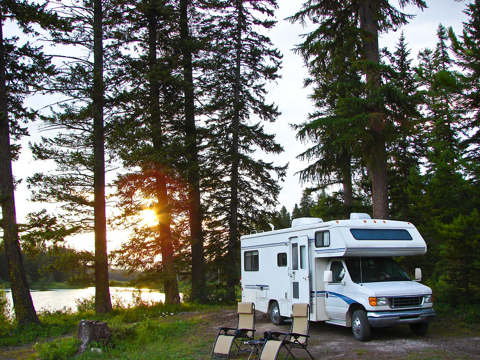 RV In Forest