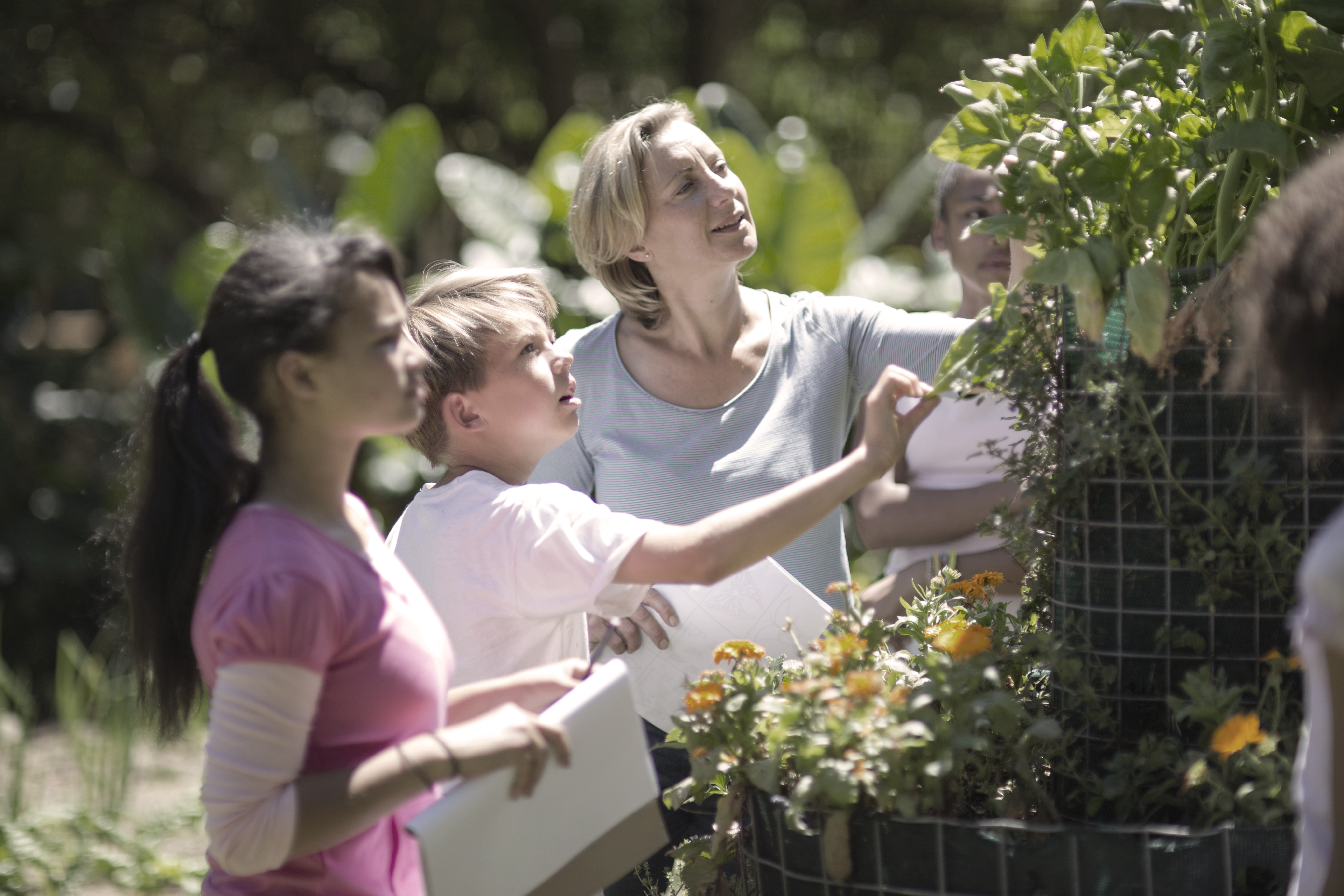 Des conseils pour mieux comprendre l'écosystème de votre jardin content media