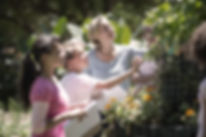 אטרקציות לבר מצווה בצפון