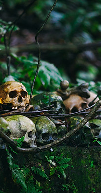 Skulls Amidst Plants