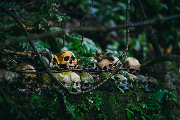 Calaveras entre plantas