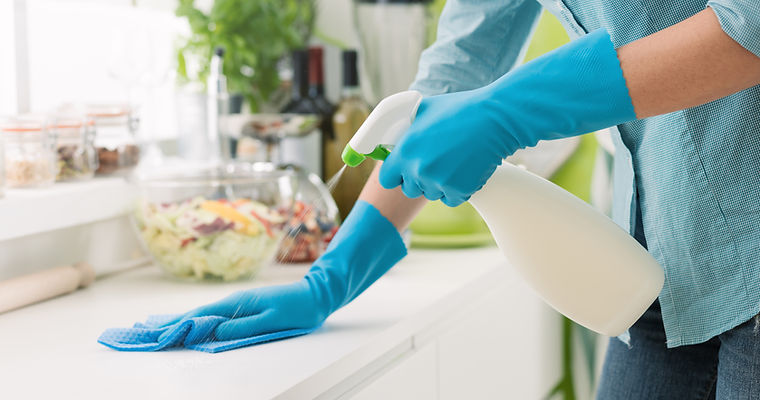 Kitchen Cleaning Scene