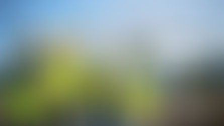 The future construction workforce on the job site