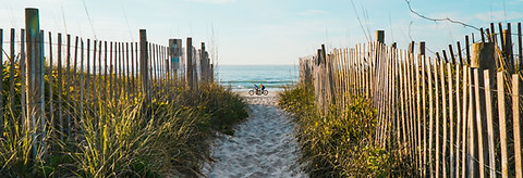 Playa Fench