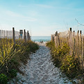 Pathway to Beach