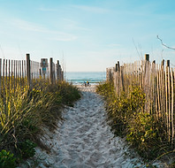 Pathway to Beach