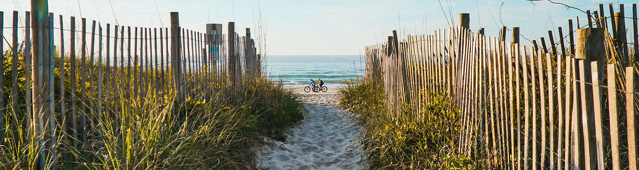 Beach Fench