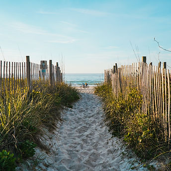 Beach Fench
