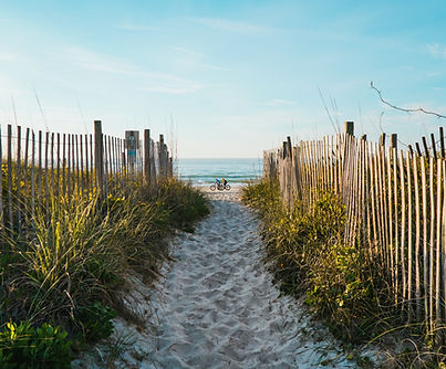 Beach Fench