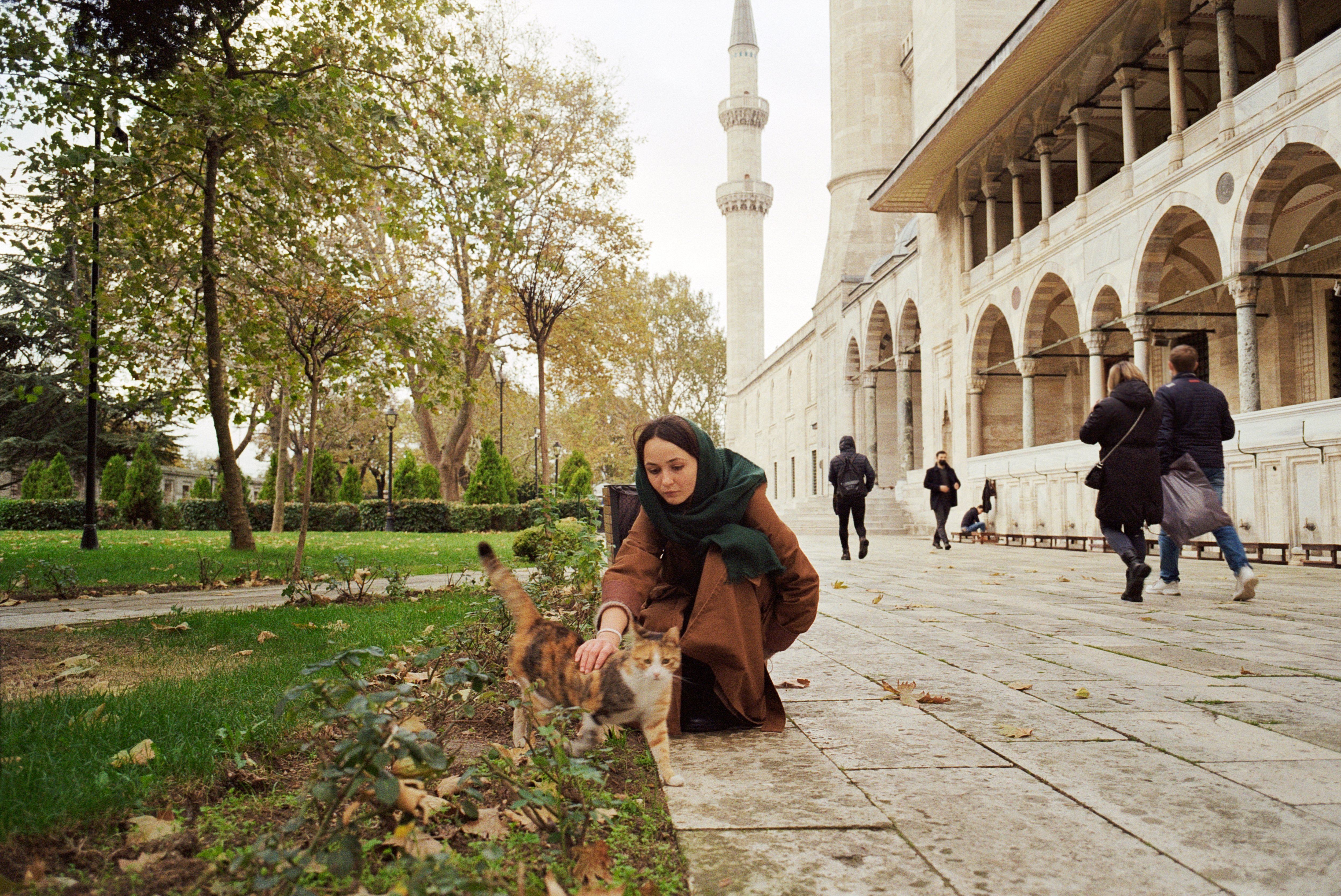 Cami Parkında Kedi Sevmek