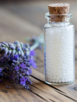 Flaschen homöopathischer Pillen Hund Katze Tierheilpraxis Johanna Schilling Gesundheit Natur natürlich Liebe Energie Ausgeglichenheit Freude Therapie