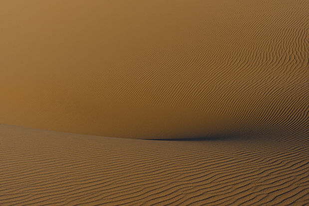 Golden Sand Dunes
