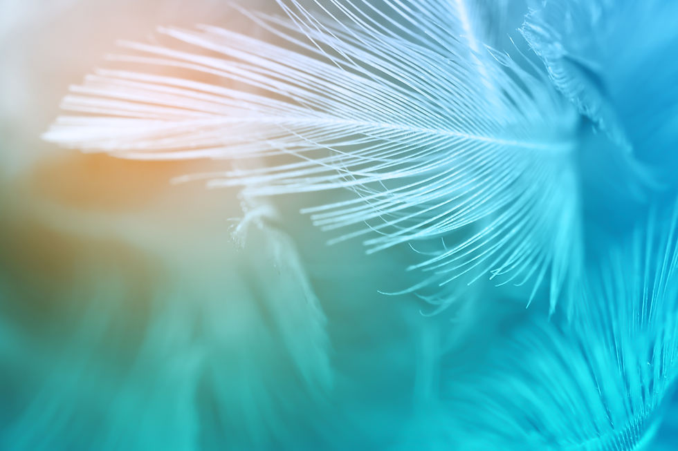 Green turquoise and blue color trends chicken feather texture background,Light orange