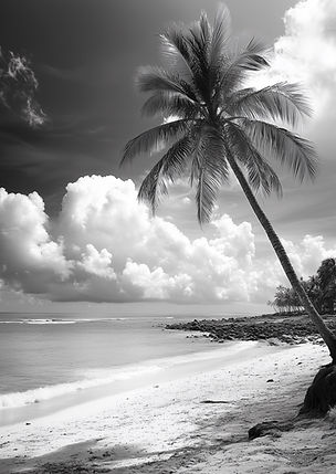 Plage tropicale avec palmiers
