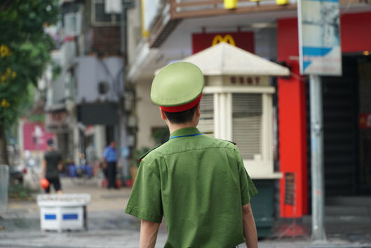 Vietnamese Guardian
