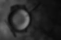 Dark Theme Dinnerware