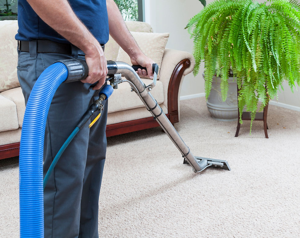 Person professionally cleaning a beige carpet with an industrial vacuum