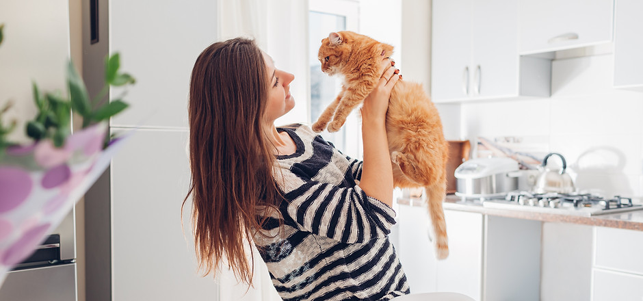 Holding Ginger Cat