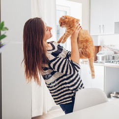 orange cat being held by woman
