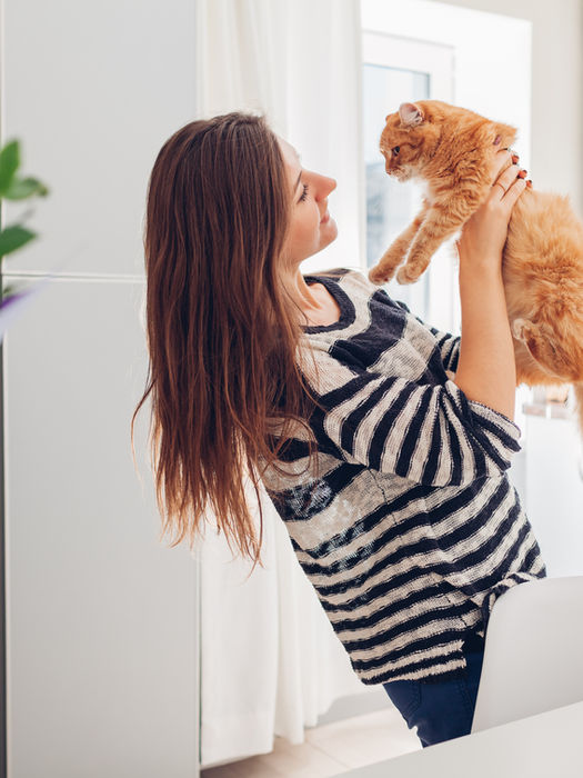 學會 安全洗澡、吹整、梳毛、修指甲，讓毛孩每天都乾淨舒適，減少皮膚與耳朵問題，增進彼此的親密互動。