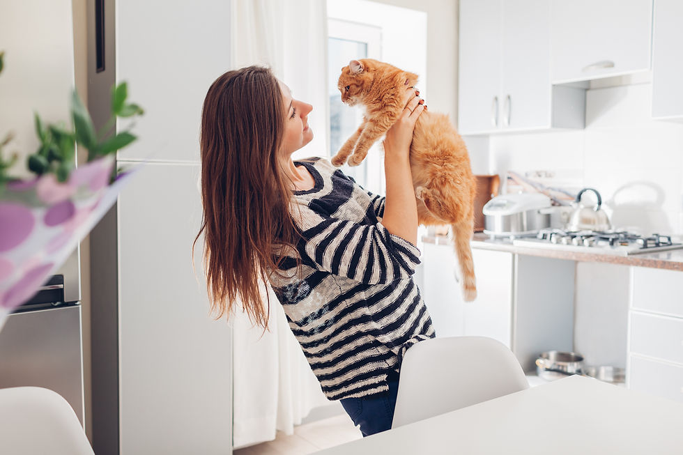 Frau, die Katze hält