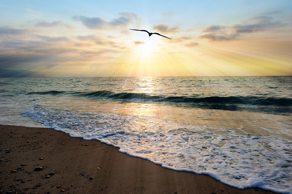 Ocean sunset rays is an ethereal ocean scenic with sun beams bursting forth from the setting sun as a single soul moves toward the light and an ocean wave gently comes to shore