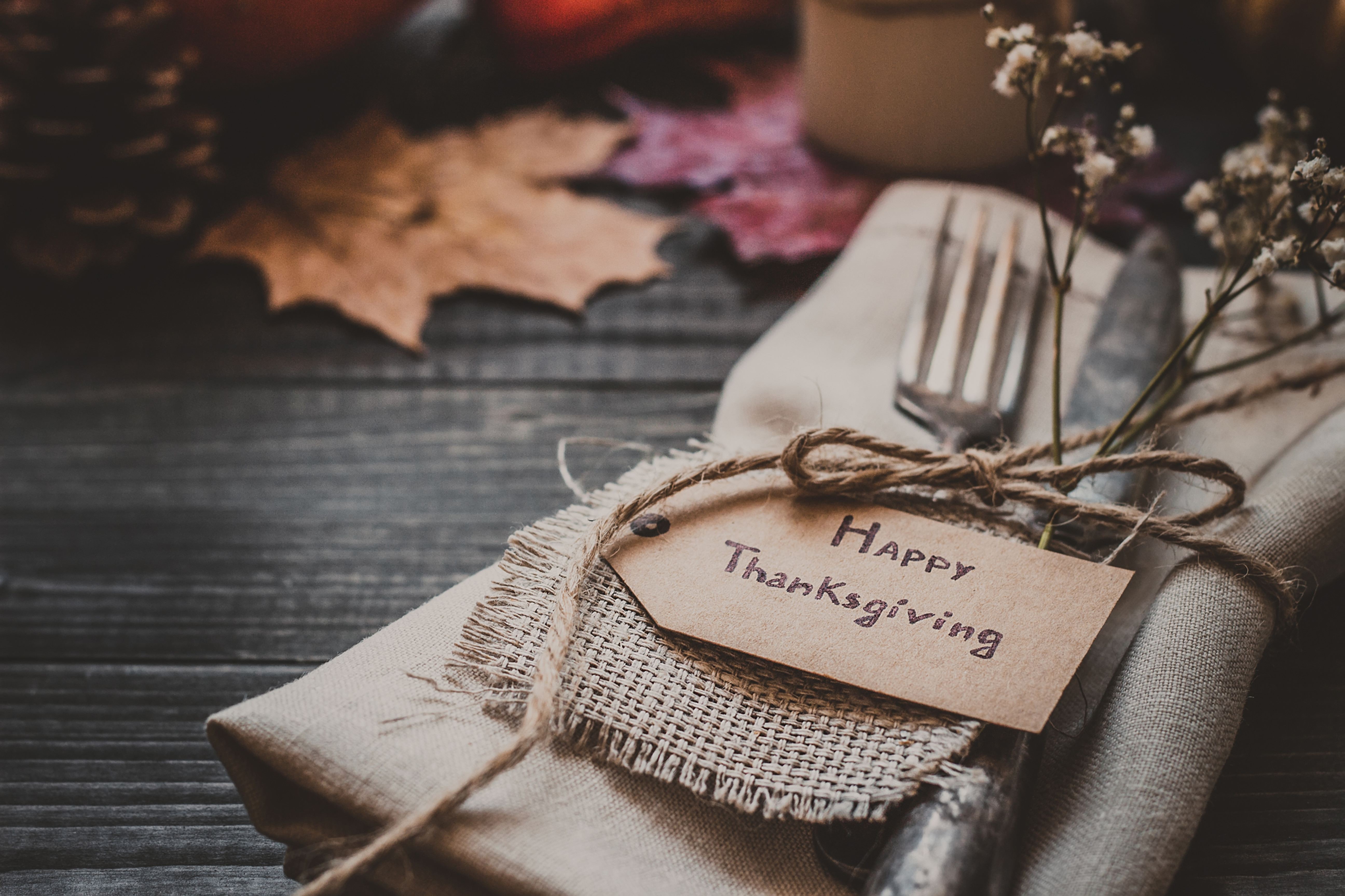 Happy AIP Thanksgiving Meal Plan