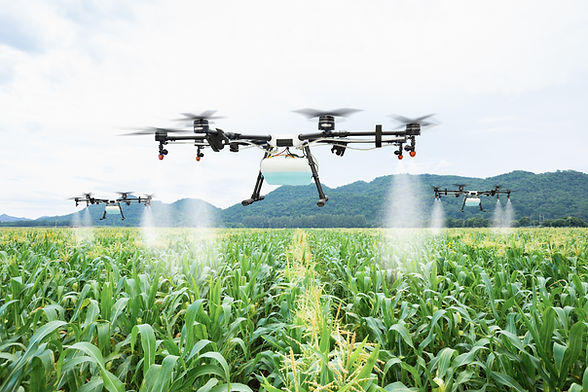 Drones Spraying Crops
