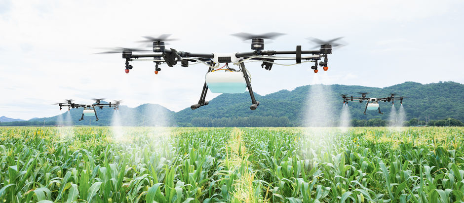 Top-Quality Fertilizers and Pesticides from Dwarika Agri Solutions