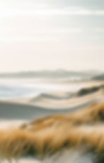 Serene Coastal Sand Dunes