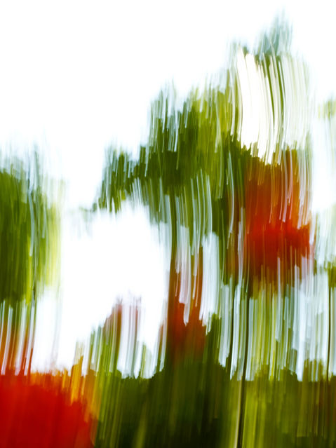 Abstract Green Blurs