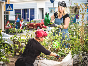 Gardening for Beginners: Getting Started in the Worth Street Community Garden