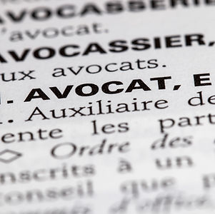 Book of French Laws