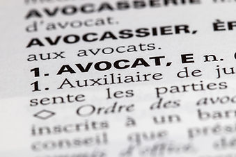 Book of French Laws