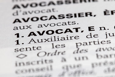 Book of French Laws
