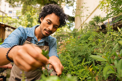 Jardinero cuidando plantas