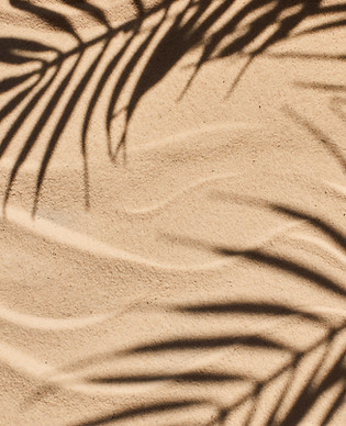 Palm Shadows on Sand