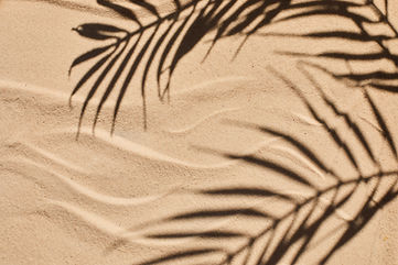 Ombres de palmiers sur le sable
