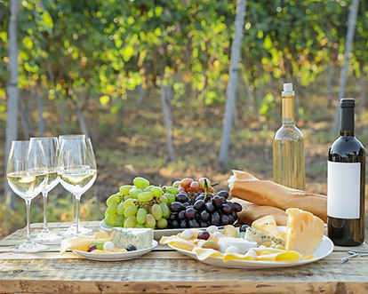 Wine And Cheese