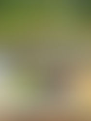 Dia Mundial do Vinho: quando a semana também pede brinde