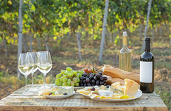 Under the Tuscan Sun, Chianti Wine Tour