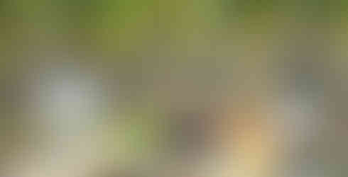 Tenerife borkĂłstolĂł â helyi pincĂ©szet Ă©s kanĂĄri borok kĂłstolĂĄsa