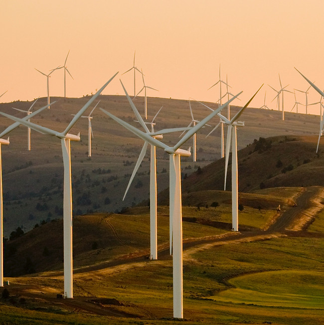 Wind Turbine Field