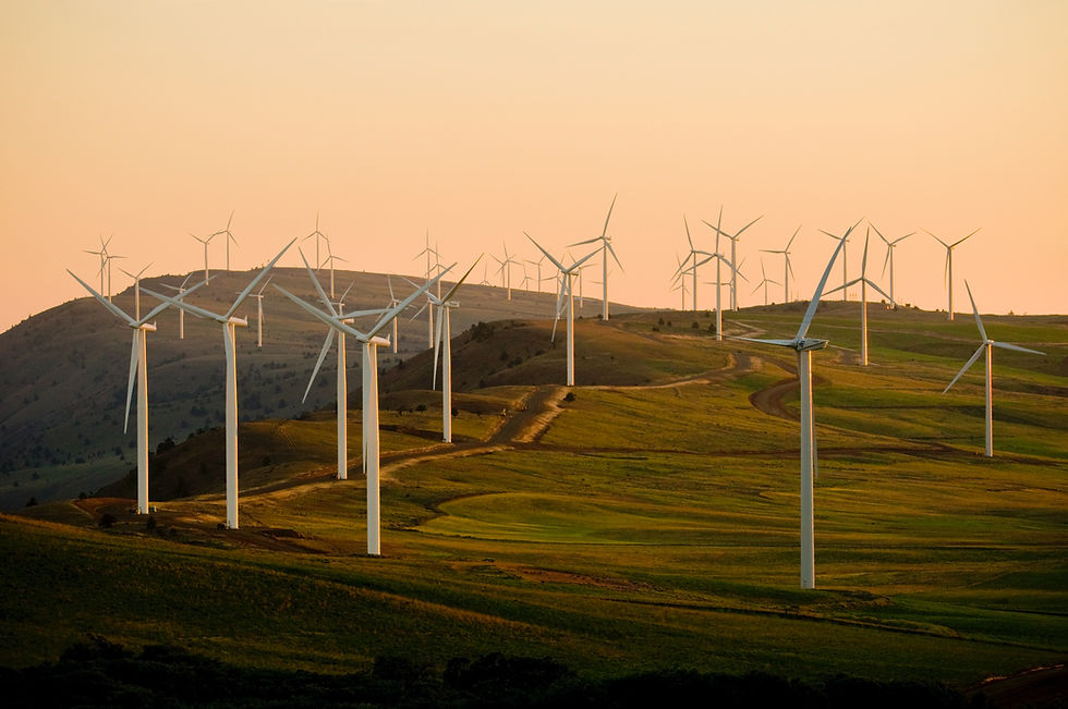 Wind Turbine Field