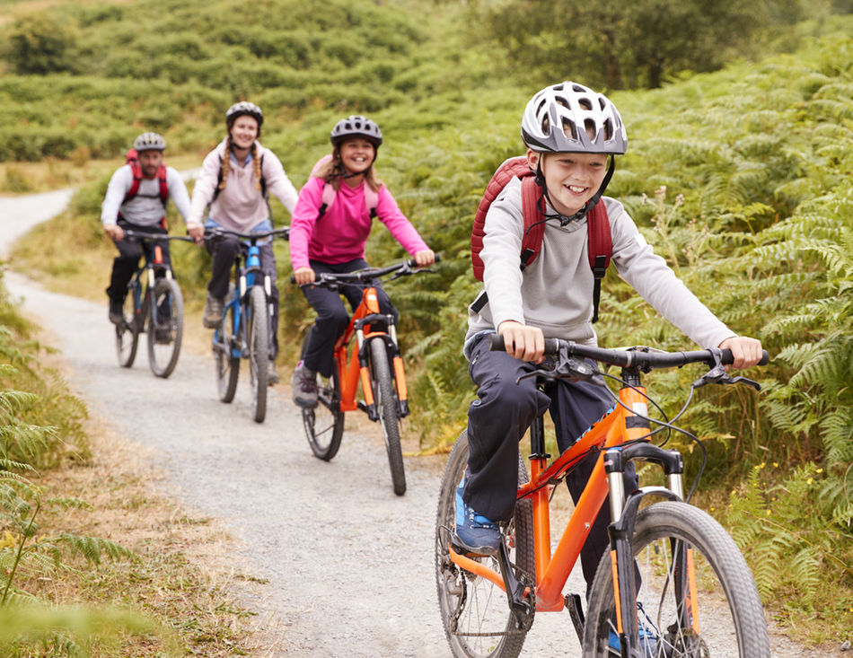 Bike ride, Mas Saint-Gens holiday rental Provence gîte Carpentras Vaucluse