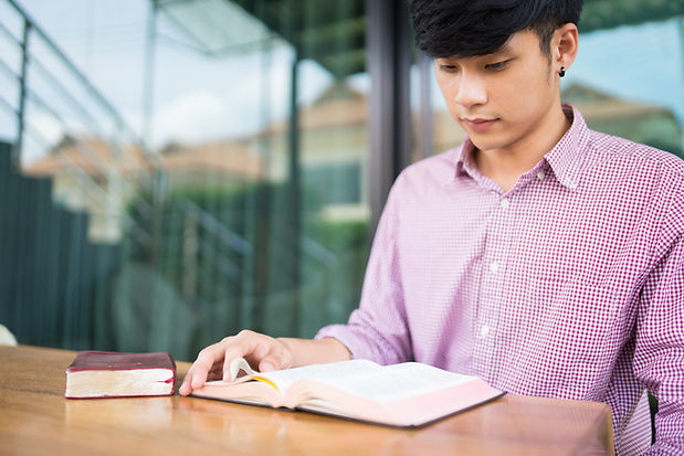 Person Reading Bible