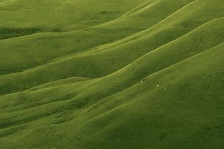 Lush Hills