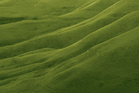 Rolling Green Hills