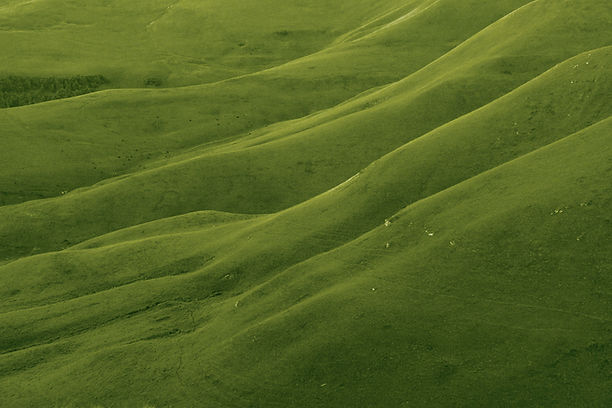 Rolling Green Hills